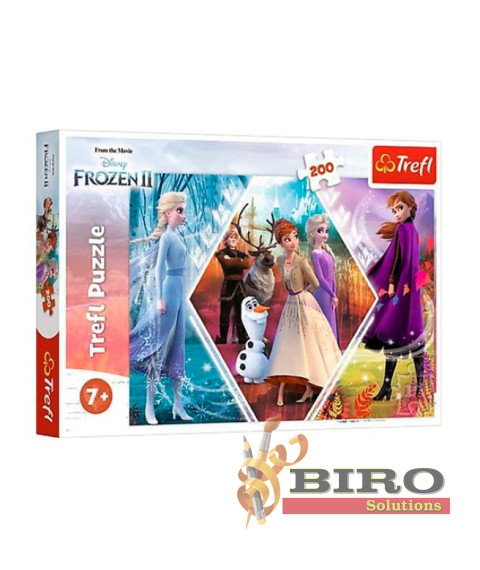 TF Puzzle "160" - Sister adventure / Disney Frozen II